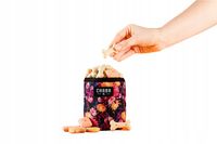 Saszetka na smakołyki smaczki dla psa - treserka