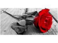 product-compare-58681386