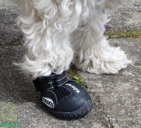 TRIXIE Walker Active Buty psa ochronne z protektorem oddychające 2 szt. XL na Arena.pl