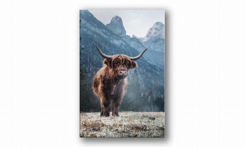 OBRAZ NA PŁÓTNIE 048 Krówka 40x60cm na Arena.pl