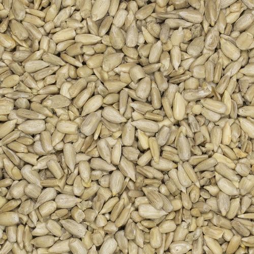 Słonecznik łuskany 10 x 50g na Arena.pl