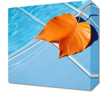 product-compare-59477551