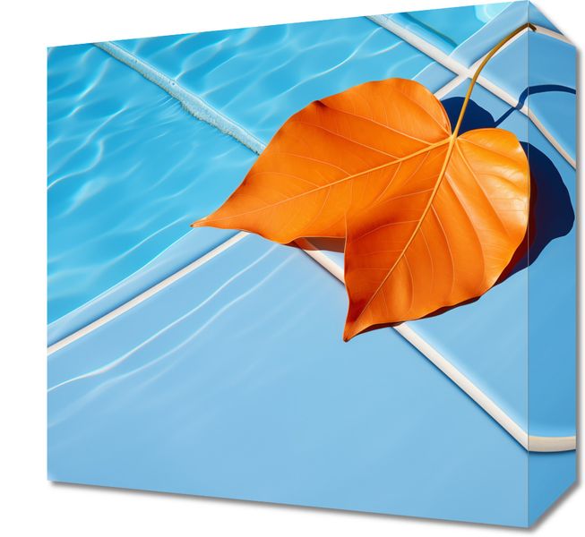 Obraz 30x30cm Liść przy Wodzie zdjęcie 1
