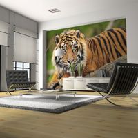 product-compare-63724923