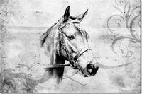 product-compare-58694340