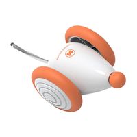 Interaktywna Mysz Cheerble Wicked Mouse Zabawka dla Kota Morelowa