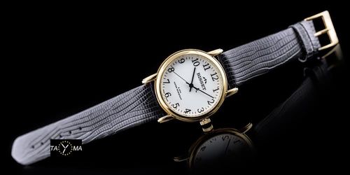 Bisset BSCD60 (zb028e) na Arena.pl