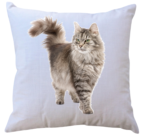 Poduszka Koty zdjęcie 1