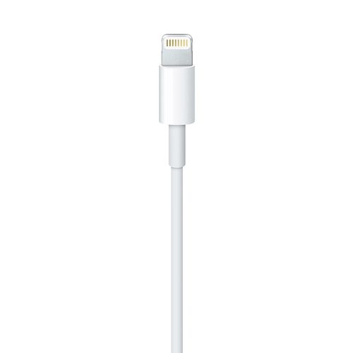 Apple MD818ZM/A | Oryginalny Kabel Lightning 1m na Arena.pl