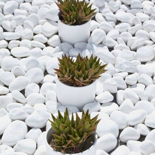 KAMIEŃ OTOCZAK THASSOS 3-6CM KAMIEŃ OGRODOWY BIAŁY DEKORACYJNY OZDOBNY na Arena.pl