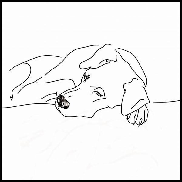 Plakat 100x100cm Wypoczynek Psiaka zdjęcie 2