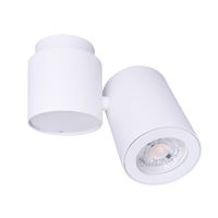 Lampa sufitowa BARRO C0036 tuba regulowany spot biała