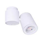 Lampa sufitowa BARRO C0036 tuba regulowany spot biała