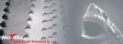 PIŁA TAŚMOWA DO DREWNA 40x1,1X4005 CARBON Ro-Ma na Arena.pl