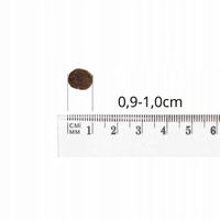 Baltica Hypoallergenic Adult Dzik i Ryż 3kg Venison & Rice S