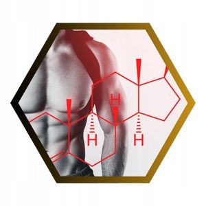 TESTOSTERON Tabletki BOOSTER TESTOSTERONU Pożądanie Libido | INSPORT na Arena.pl