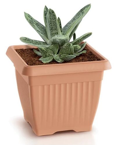 DONICZKA TERRA - TERAKOTA - PP-DKWT37T na Arena.pl