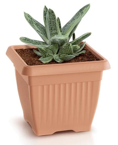 DONICZKA TERRA - TERAKOTA - PP-DKWT37T zdjęcie 2