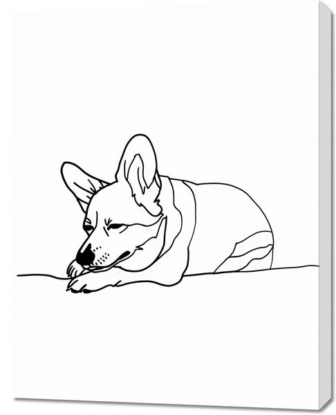 Obraz 70x90cm Śpiący Corgacz zdjęcie 1