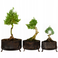 OSŁONKA NA DONICZKĘ na bonsai 3 szt. brązowa do salonu metalowa duża