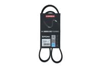 PASEK MICRO-V 6 PK 1019 ELASYCZNY FORD FIESTA V 2003 2004 2005 2006 2007