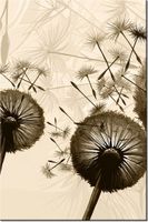 product-compare-58711959