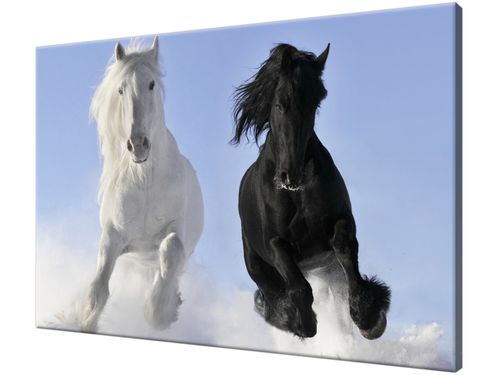 Obraz drukowany na płótnie canvas 120x80 + GRATIS na Arena.pl