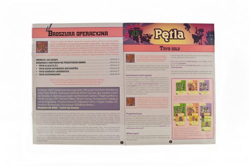 Gra Pętla na Arena.pl