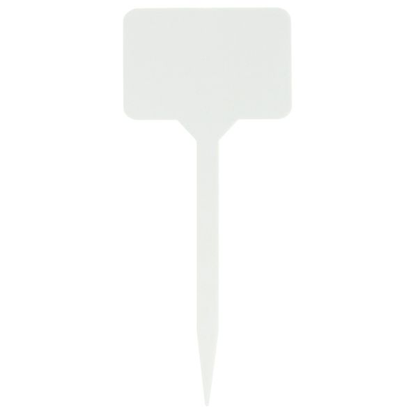 ETYKIETY TABLICZKI DO OPISYWANIA ROŚLIN NASION SADZONEK ZNACZNIKI 31SZ zdjęcie 3