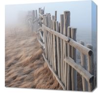 Obraz 50x50cm Mgła nad Wydmami