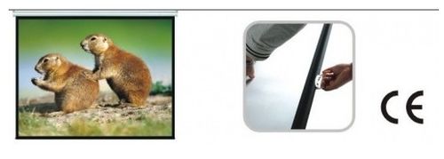 Duży EKRAN PROJEKCYJNY SUFITOWO ŚCIENNY 200X200cm 112" HDREADY na Arena.pl