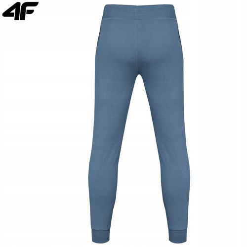 Spodnie Dresowe Męskie 4F Sportowe Joggery M603 dresy dres na co dzień L na Arena.pl