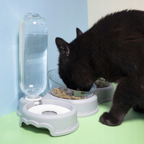 MISKI DLA KOTA ZWIERZĄT Z AUTOMATYCZNYM DOZOWNIKIEM PODAJNIKIEM WODY na Arena.pl