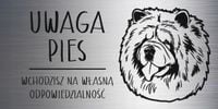 Tabliczka 20x10 cm UWAGA PIES Chow chow LAMINAT Z GRAWEREM