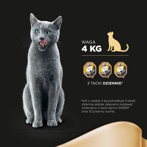 SHEBA Pate Koktail drobiowy 85g na Arena.pl