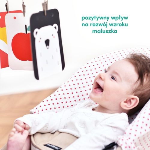 CZUCZU STARTER MALUCHA CO WIDZĘ 0-3-6 MIES.+ na Arena.pl