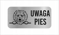 GRAWER Tabliczka nierdzewna laminat 20x10 UWAGA PIES Goldendoodle