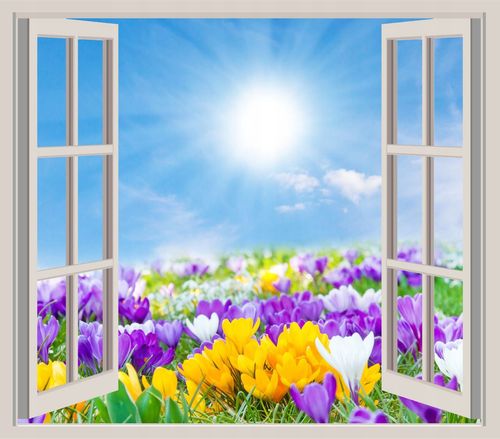 FOTOTAPETA 3D OKNO widok ocean delfiny woda morze na Arena.pl