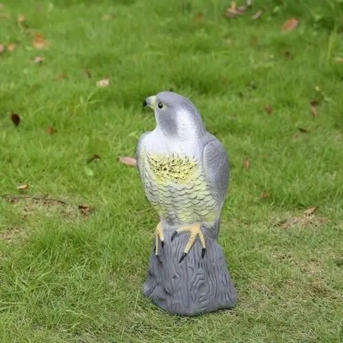 Jastrząb odstraszacz ptaków gołębi szpaków sokół na Arena.pl