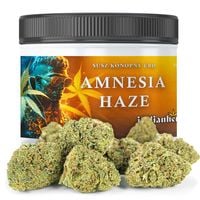 Susz konopny CBD | Amnesia Haze 5g