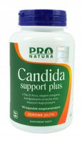 NOW Foods Candida Support PAU D'ARCO Bylica Piołun KWAS KAPRYLOWY JELITA 90