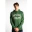 PULL OVER HOODY 263 PINE GREEN M na Arena.pl