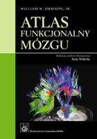 ATLAS FUNKCJONALNY MÓZGU WILLIAM ORRISON, JR. , JERZY WALECKI (RED. )