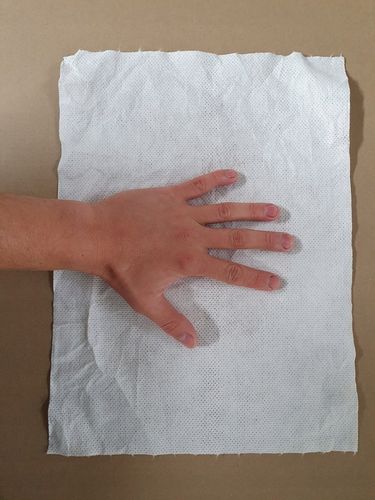 Czyściwo włókninowe PL-TEX310 30x39 cm 240 listków na Arena.pl