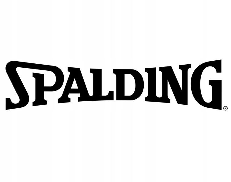SPALDING PIŁKA DO KOSZYKÓWKI KOSZA VARSITY TF-150 zdjęcie 13