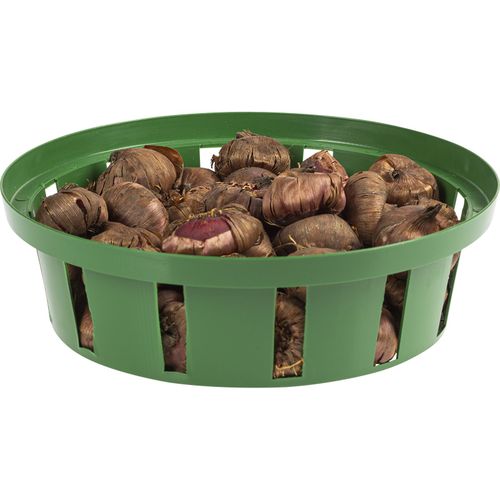 Koszyk do cebulek okrągły 18cm | Zieleń trawiasta na Arena.pl