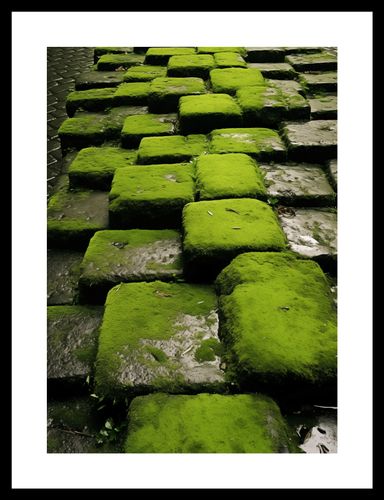 Plakat 25x35cm Zielona Mozaika na Arena.pl