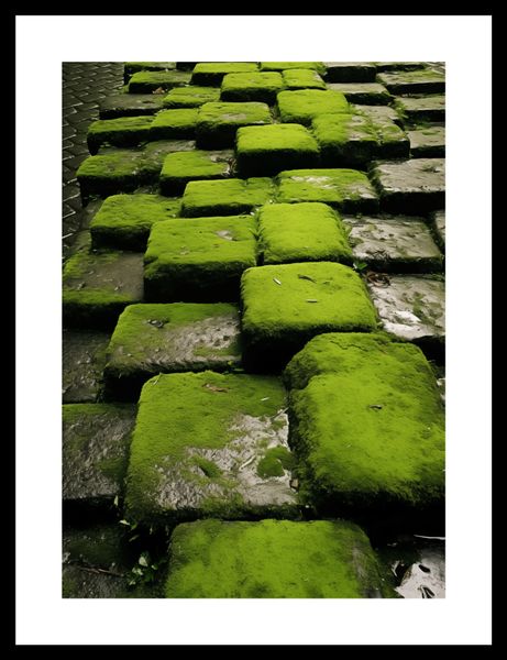 Plakat 25x35cm Zielona Mozaika zdjęcie 3