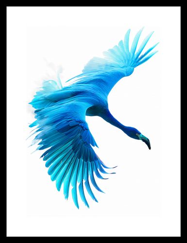 Plakat 21x29,7cm Błękitny Lot na Arena.pl