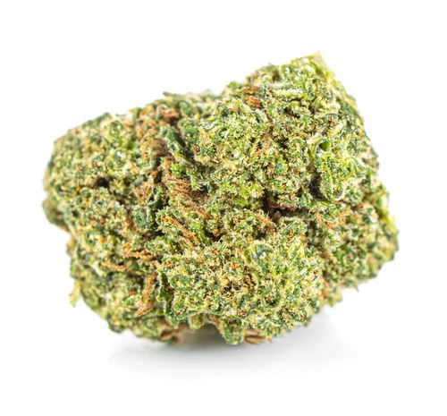 SUSZ KONOPNY CBD | AMNESIA HAZE | PREMIUM | 100g na Arena.pl
